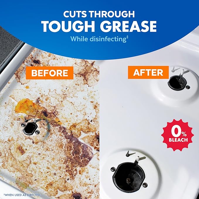 Lysol Pro Kitchen Spray Cleaner and Degreaser, Antibacterial All Purpose Cleaning Spray for Kitchens, Countertops, Ovens, and Appliances, Citrus Scent, 22oz (Pack of 4)